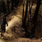 coggiola_2011-62 coggiola_2011-62