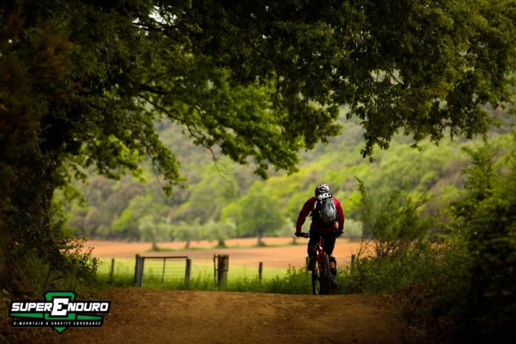 Punta Ala Trasferimento Punta Ala Trasferimento