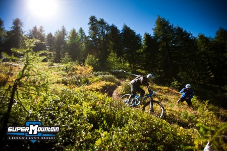 Lo staff di RITM sempre sul pezzo….o sul ginepro Lo staff di RITM sempre sul pezzo….o sul ginepro