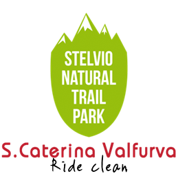 logo_Stelvio