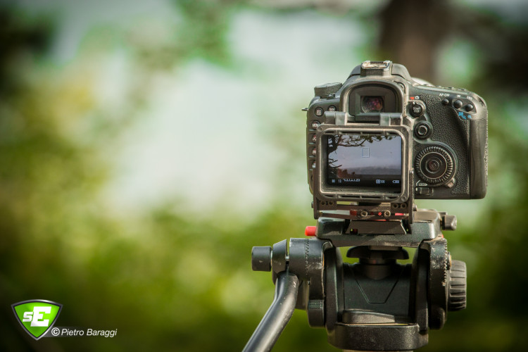 15451061512_e0464204f0_o