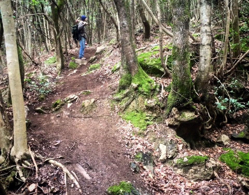 Trailbuilding-MassaMarittima-Superenduro2