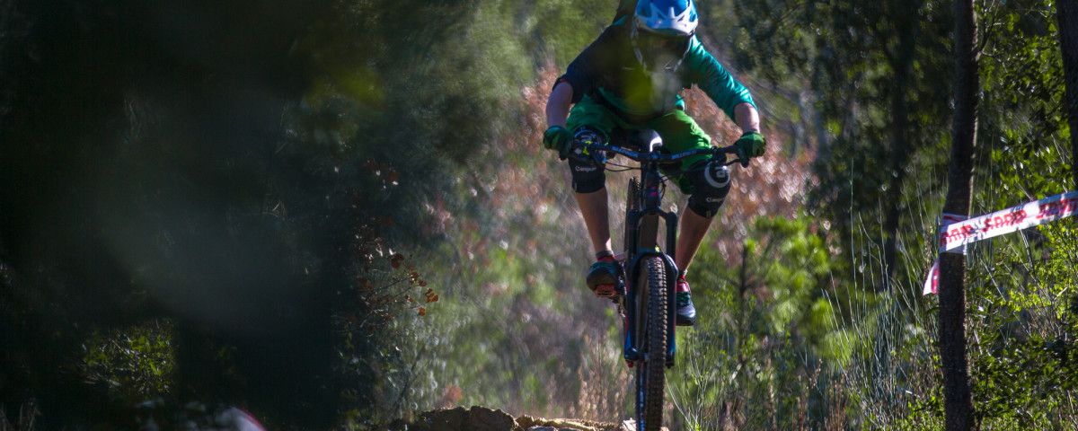 primaesportazione72dpi (2 di 7)