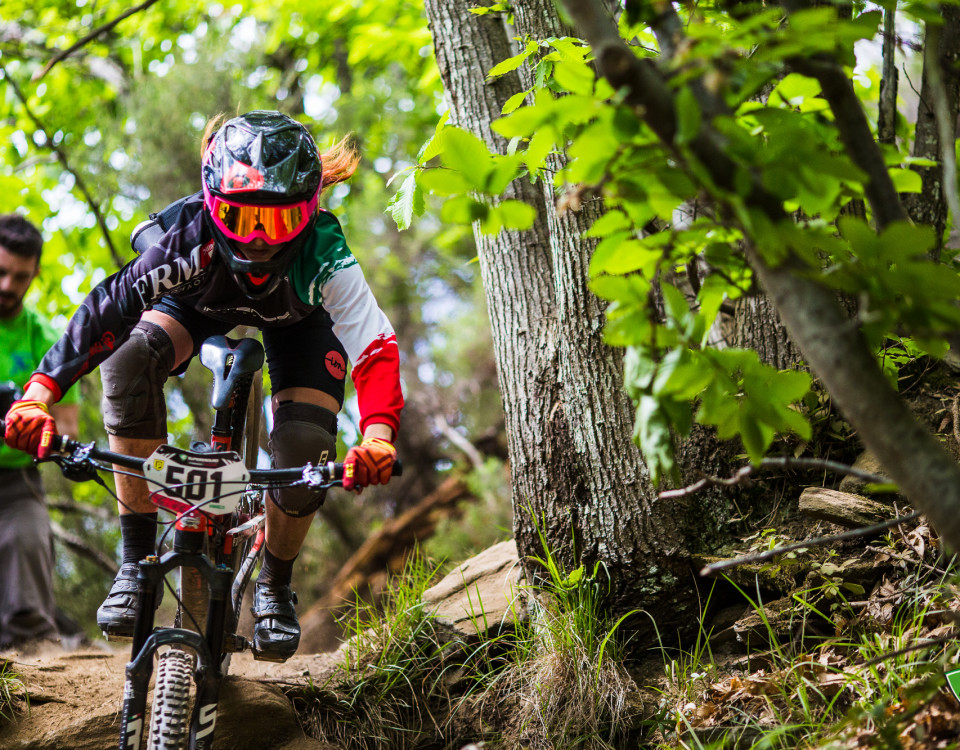 26308678553_5125d25b7b_o